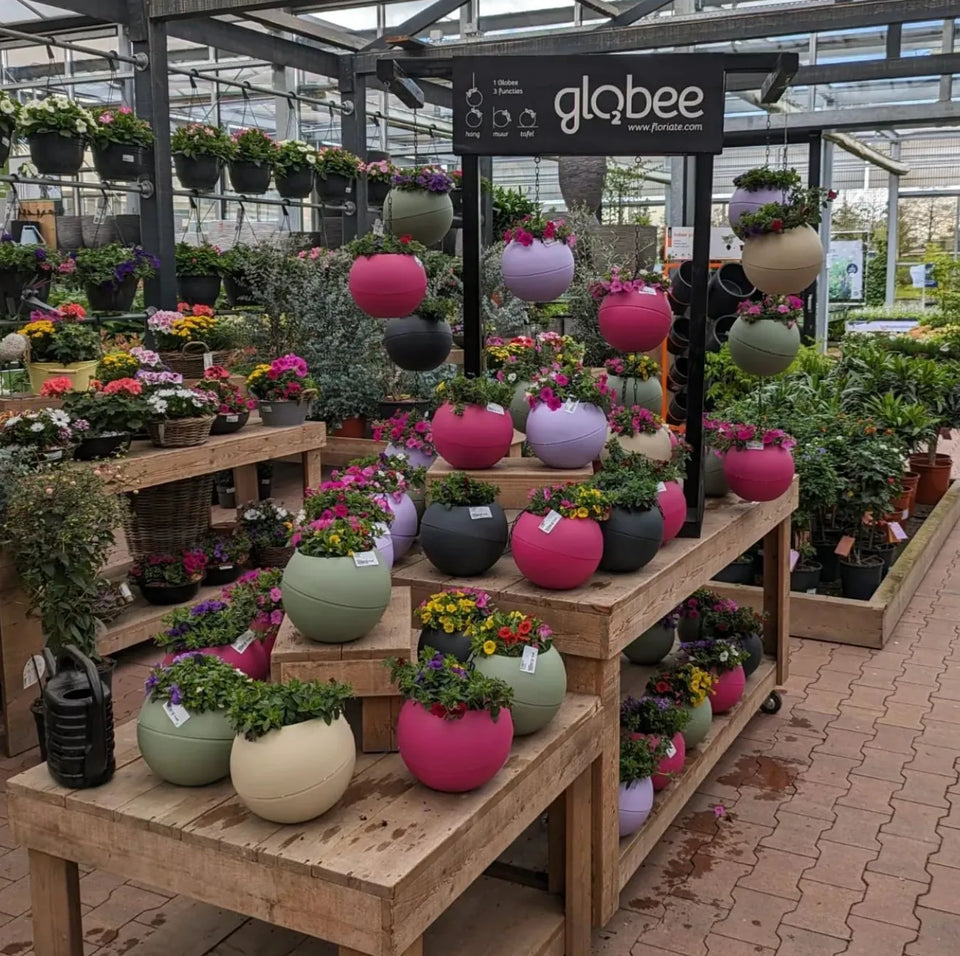 Globees met bloeiende planten in een kwekerij