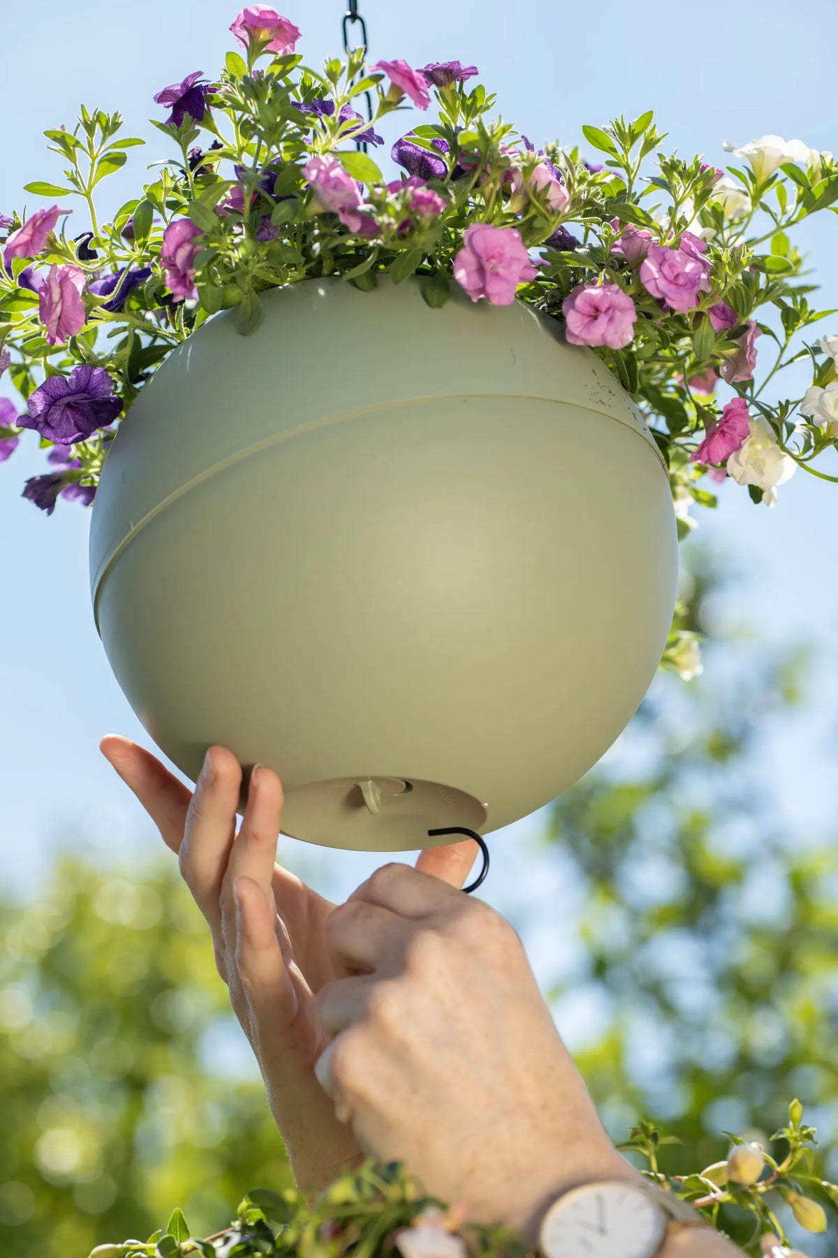 Een hand haakt een haak onder een hangende olijfgroene Globee vol bloemen